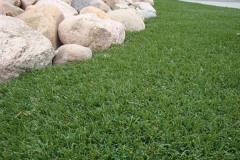 Artificial-Turf-Grass