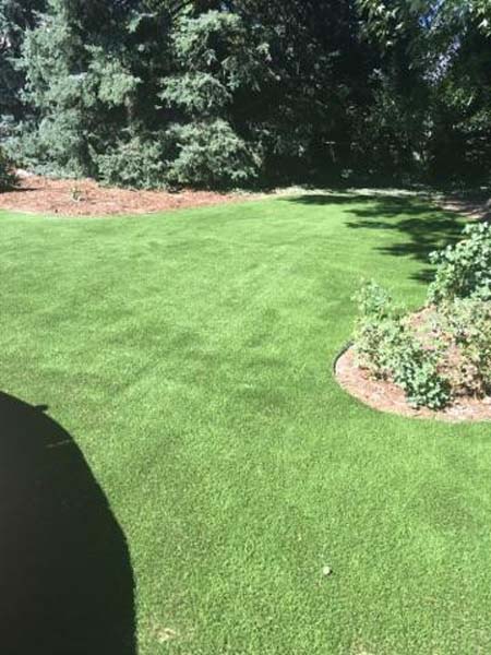 Artificial Grass for Residential Yards - Artificial Grass Lawn - Colorado