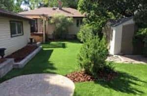 Read more about the article Is Your Natural Grass Turning Brown