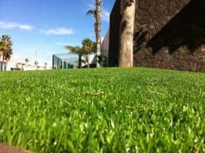 Artificial Grass and Water conservation for HOAs