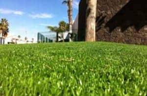 Read more about the article HOAs are switching over to Artificial Turf