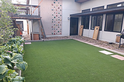 Read more about the article Not All Artificial Grass is the Same, there is Low Grade and Sometimes Lead