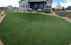 Artificial Grass Lawn