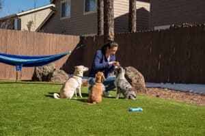 Why Artificial Turf Dog Runs are good for your dog(s) and you