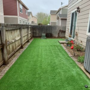 Low-Maintenance Artificial Grass Lawn