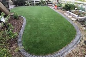 Castle Rock Conserving Water for New Homes – Artificial Turf Solution