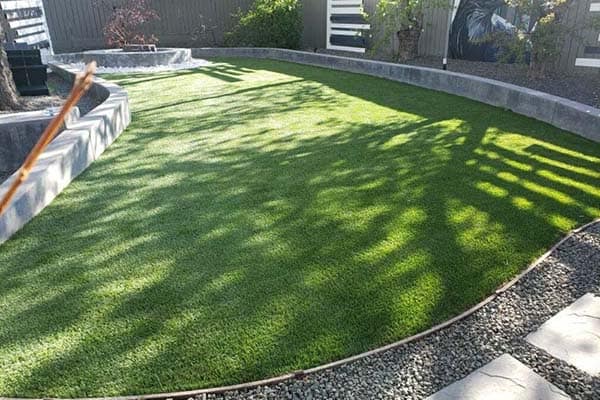 Read more about the article Say Goodbye to Dormant Grass: Enjoy a Green Lawn All Year Round!