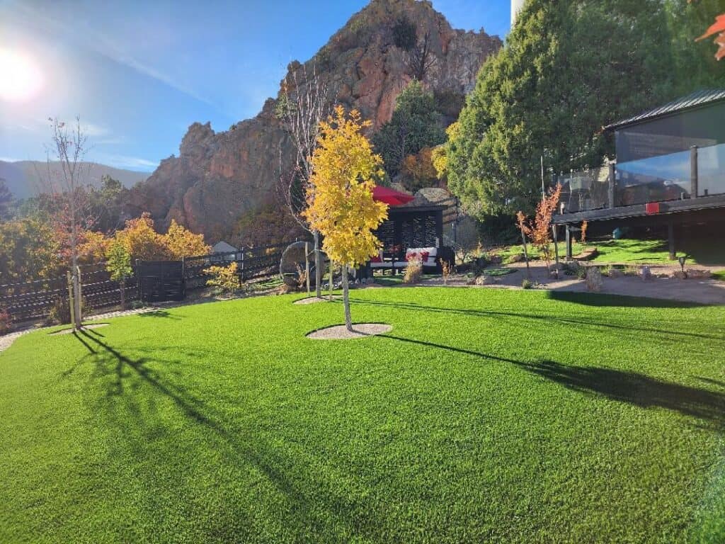 Residential synthetic turf back yard makeover